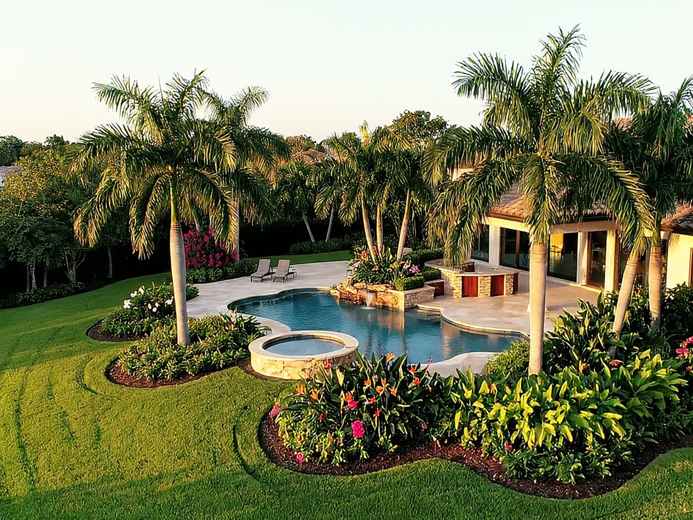 Tree & palm work